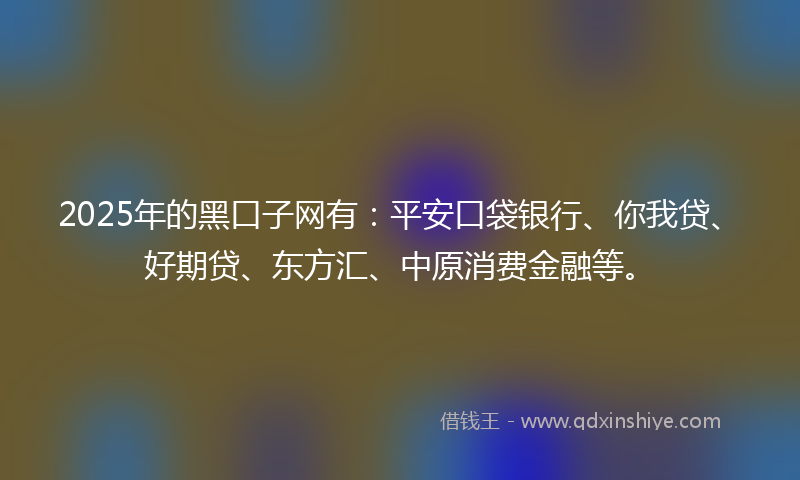 2025年的黑口子网有：平安口袋银行、你我贷、好期贷、东方汇、中原消费金融等。