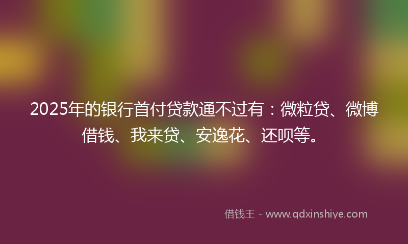 2025年的银行首付贷款通不过有：微粒贷、微博借钱、我来贷、安逸花、还呗等。
