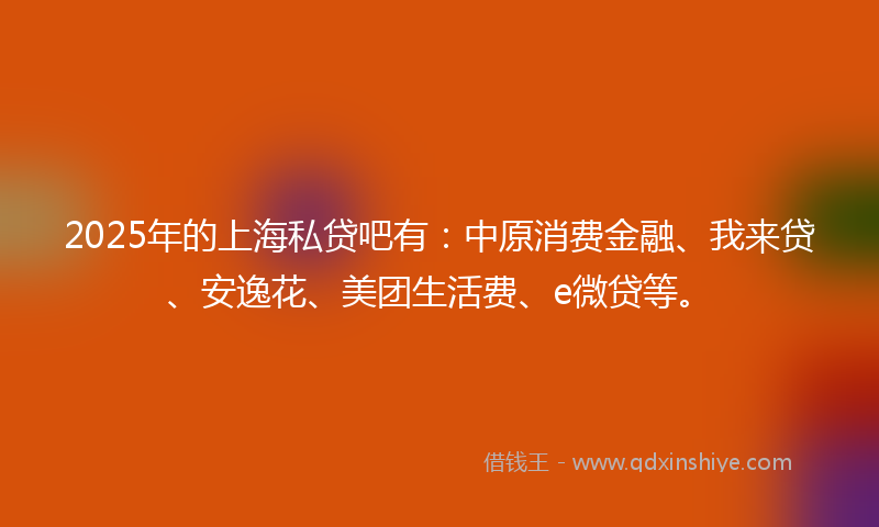 2025年的上海私贷吧有：中原消费金融、我来贷、安逸花、美团生活费、e微贷等。