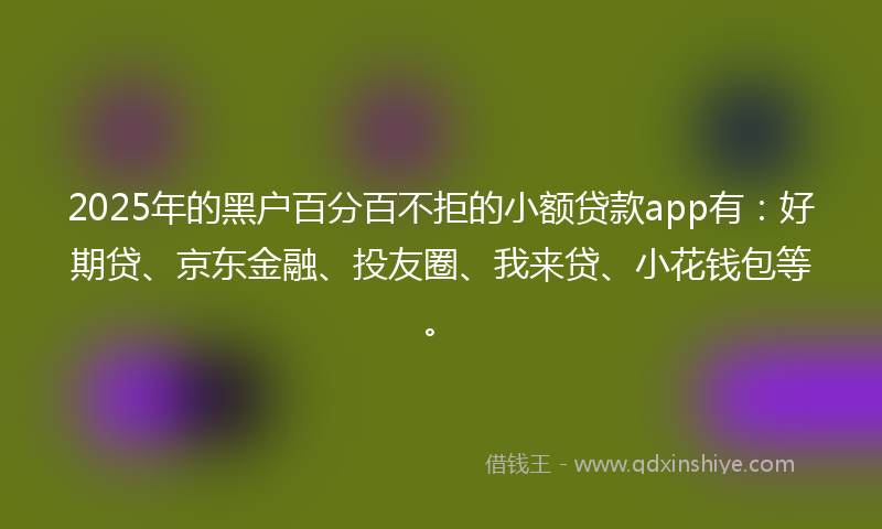 2025年的黑户百分百不拒的小额贷款app有：好期贷、京东金融、投友圈、我来贷、小花钱包等。