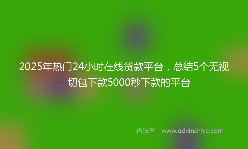 2025年热门24小时在线贷款平台，总结5个无视一切包下款5000秒下款的平台