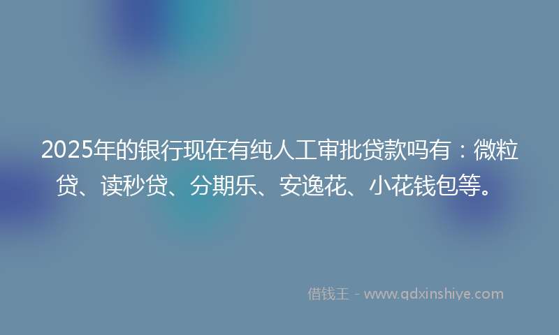 2025年的银行现在有纯人工审批贷款吗有：微粒贷、读秒贷、分期乐、安逸花、小花钱包等。