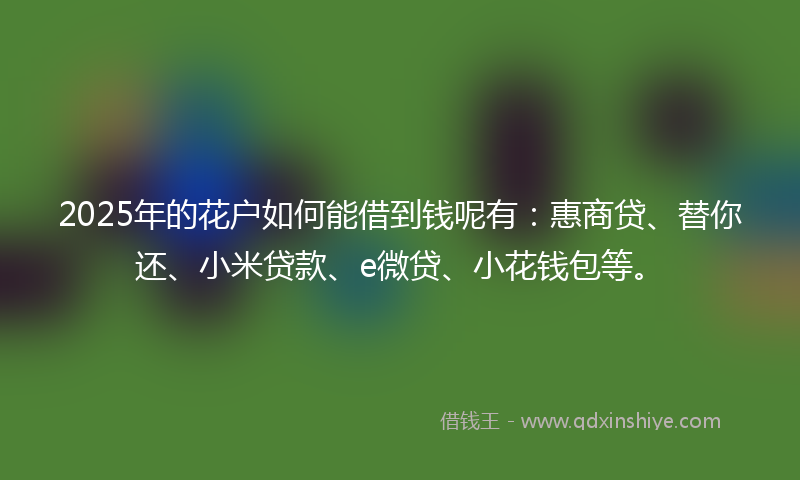 2025年的花户如何能借到钱呢有：惠商贷、替你还、小米贷款、e微贷、小花钱包等。