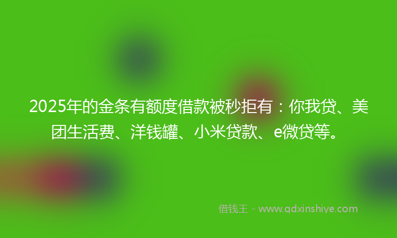 2025年的金条有额度借款被秒拒有：你我贷、美团生活费、洋钱罐、小米贷款、e微贷等。