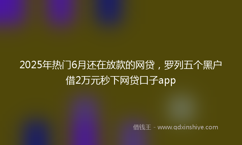 2025年热门6月还在放款的网贷，罗列五个黑户借2万元秒下网贷口子app