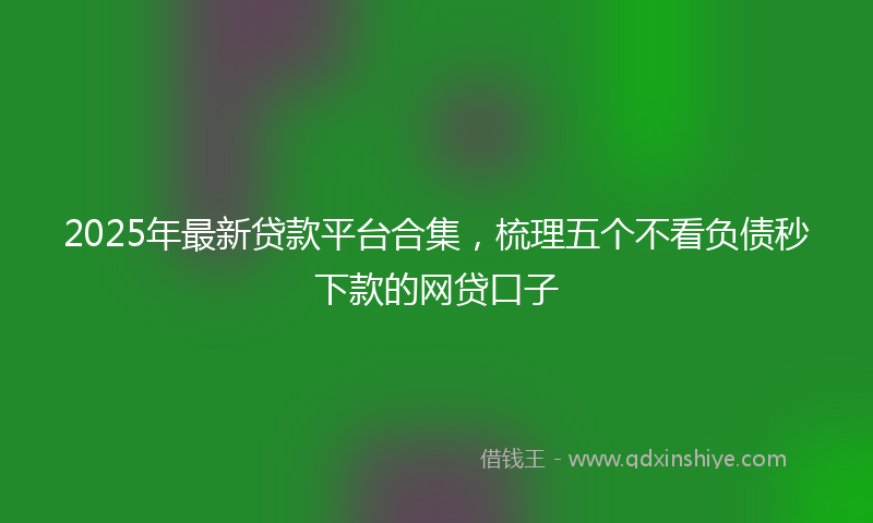 2025年最新贷款平台合集，梳理五个不看负债秒下款的网贷口子