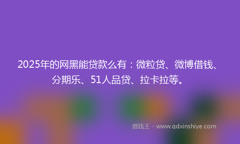 2025年的网黑能贷款么有：微粒贷、微博借钱、分期乐、51人品贷、拉卡拉等。