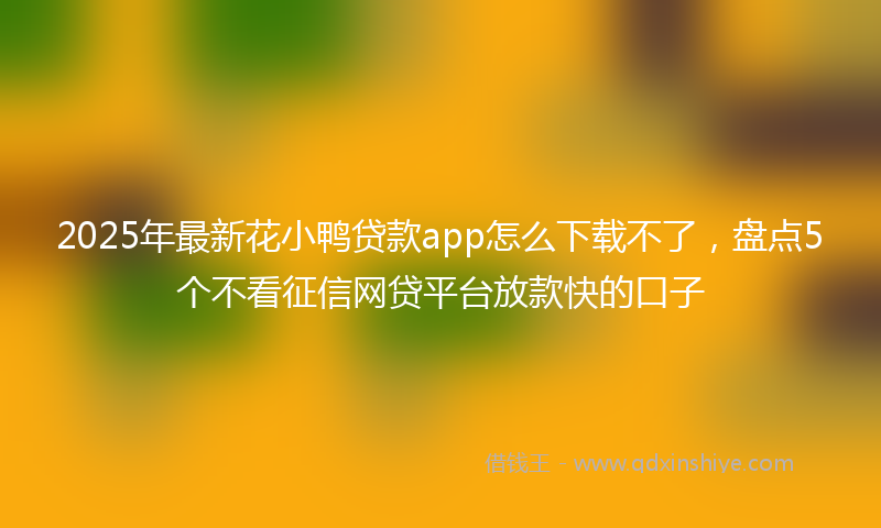 2025年最新花小鸭贷款app怎么下载不了，盘点5个不看征信网贷平台放款快的口子