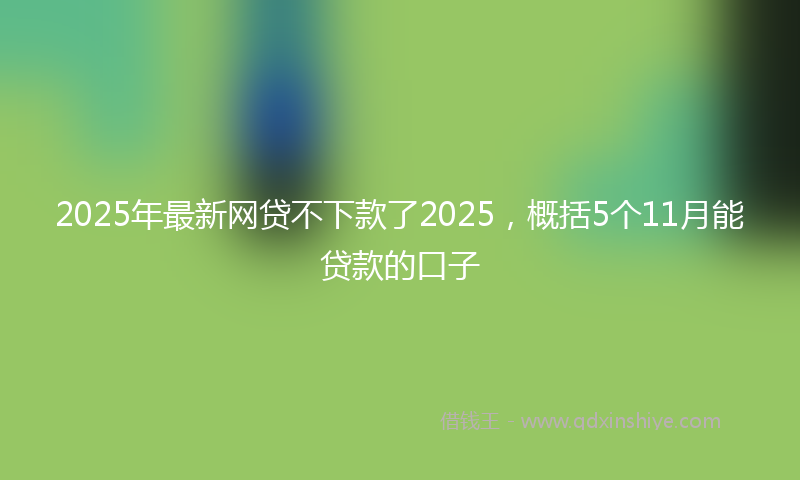 2025年最新网贷不下款了2025，概括5个11月能贷款的口子