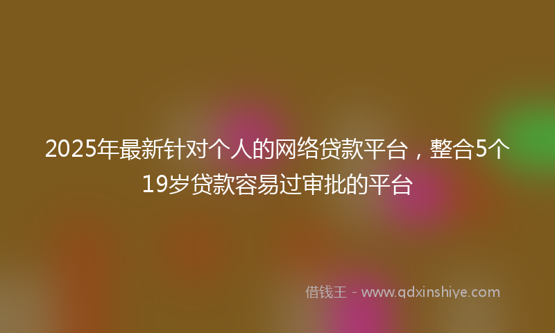 2025年最新针对个人的网络贷款平台，整合5个19岁贷款容易过审批的平台