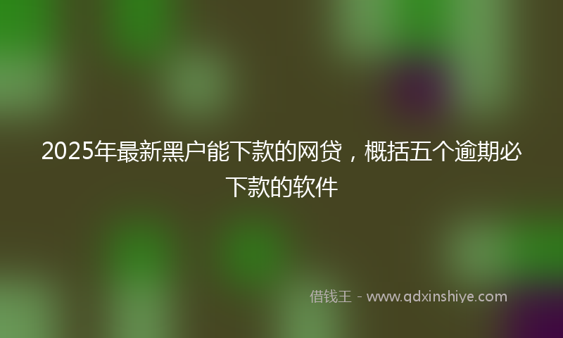 2025年最新黑户能下款的网贷，概括五个逾期必下款的软件