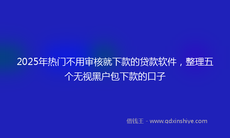 2025年热门不用审核就下款的贷款软件，整理五个无视黑户包下款的口子