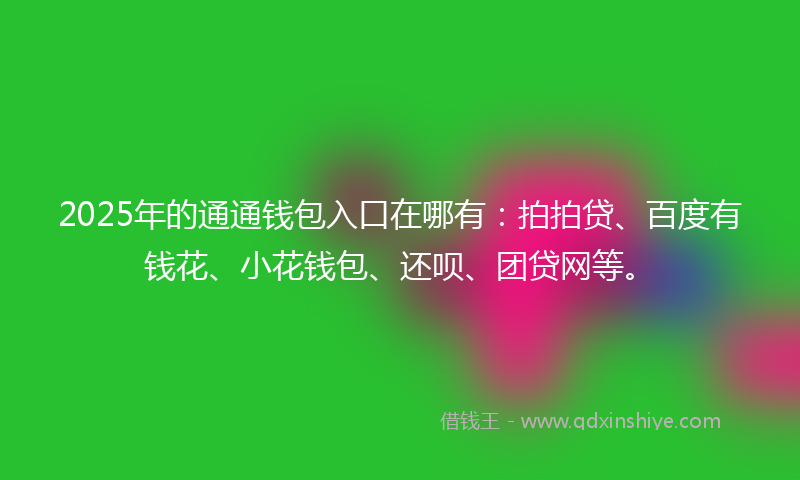 2025年的通通钱包入口在哪有：拍拍贷、百度有钱花、小花钱包、还呗、团贷网等。