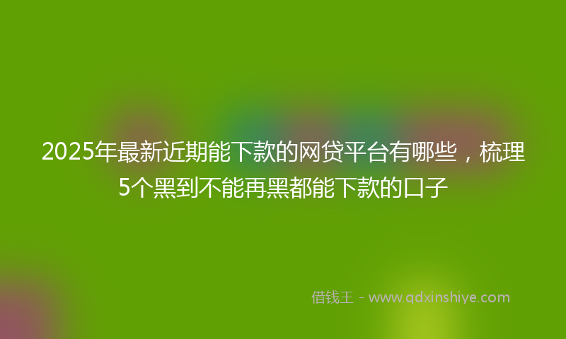 2025年最新近期能下款的网贷平台有哪些，梳理5个黑到不能再黑都能下款的口子