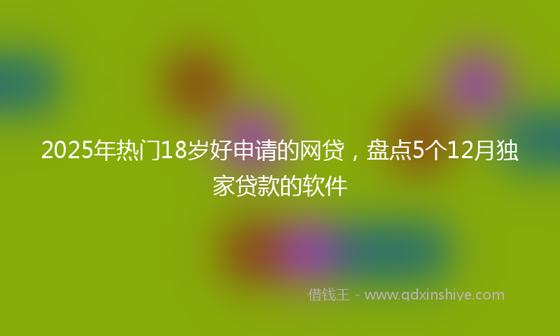 2025年热门18岁好申请的网贷，盘点5个12月独家贷款的软件