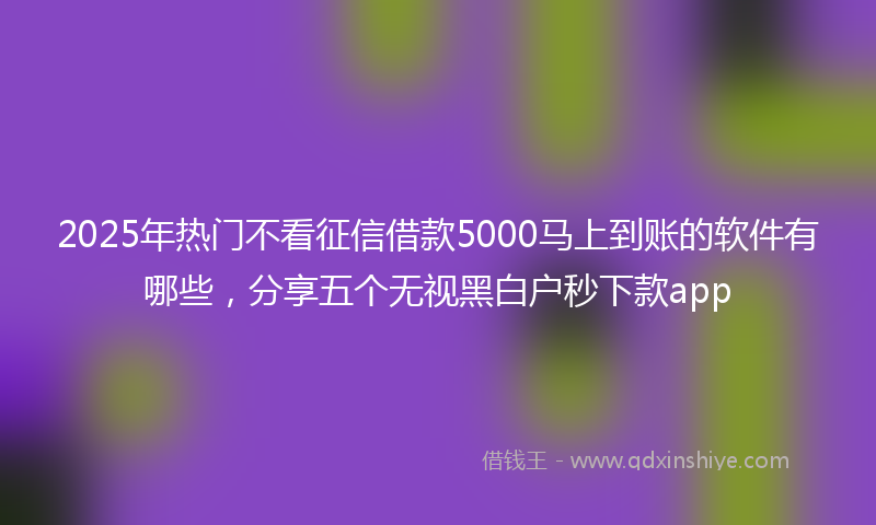 2025年热门不看征信借款5000马上到账的软件有哪些，分享五个无视黑白户秒下款app