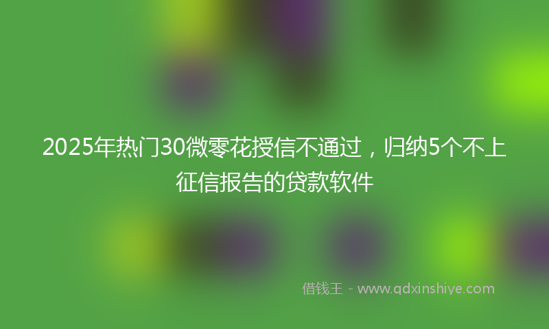 2025年热门30微零花授信不通过，归纳5个不上征信报告的贷款软件