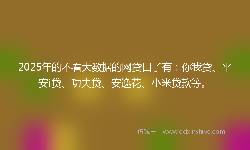 2025年的不看大数据的网贷口子有：你我贷、平安i贷、功夫贷、安逸花、小米贷款等。
