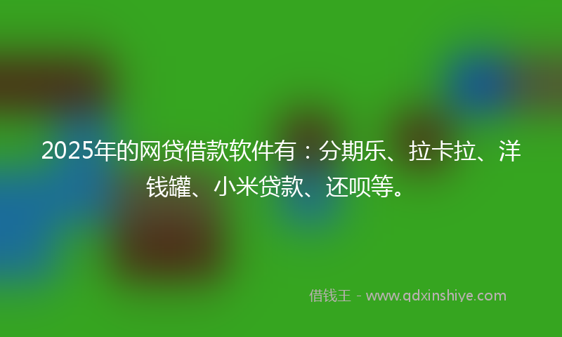 2025年的网贷借款软件有：分期乐、拉卡拉、洋钱罐、小米贷款、还呗等。