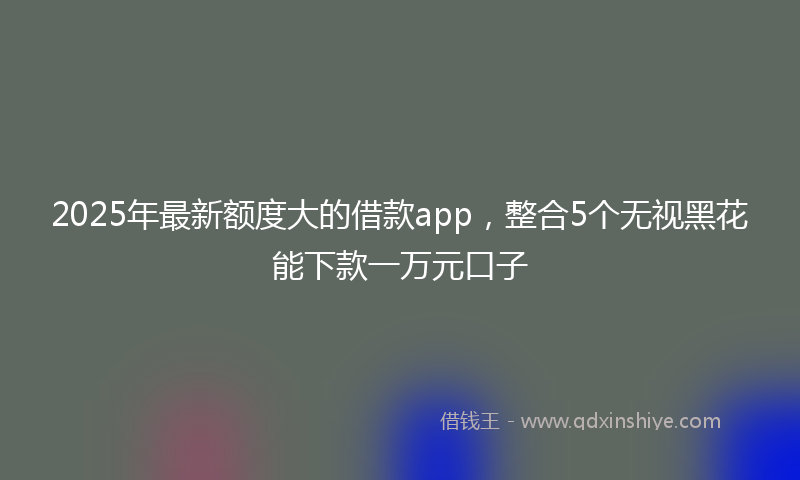 2025年最新额度大的借款app，整合5个无视黑花能下款一万元口子