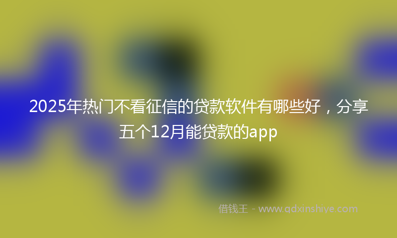 2025年热门不看征信的贷款软件有哪些好，分享五个12月能贷款的app