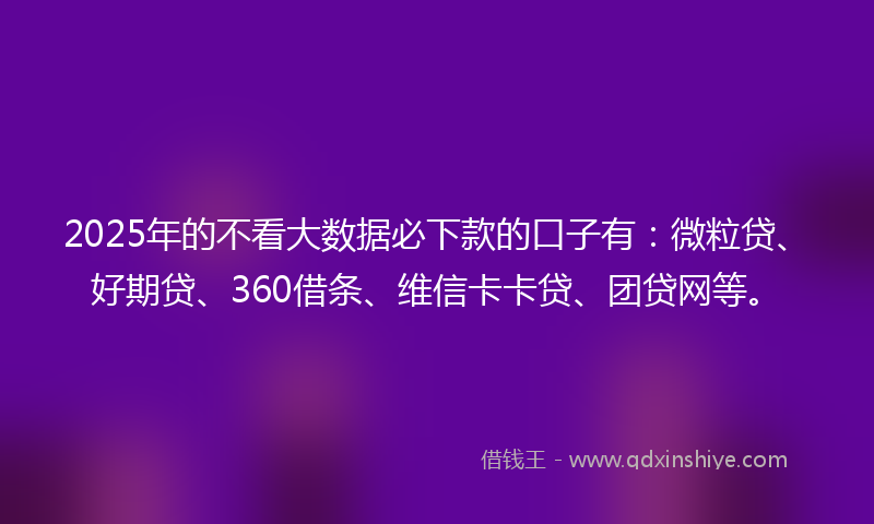 2025年的不看大数据必下款的口子有：微粒贷、好期贷、360借条、维信卡卡贷、团贷网等。