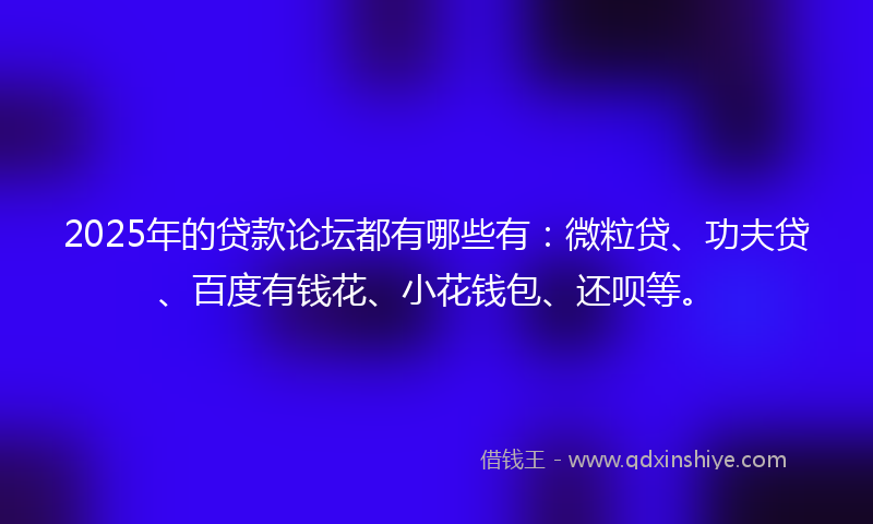 2025年的贷款论坛都有哪些有：微粒贷、功夫贷、百度有钱花、小花钱包、还呗等。