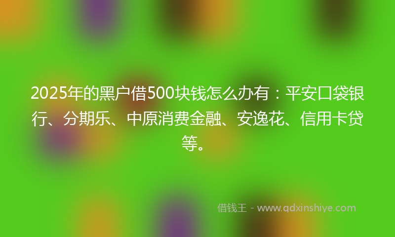 2025年的黑户借500块钱怎么办有：平安口袋银行、分期乐、中原消费金融、安逸花、信用卡贷等。