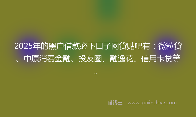 2025年的黑户借款必下口子网贷贴吧有：微粒贷、中原消费金融、投友圈、融逸花、信用卡贷等。