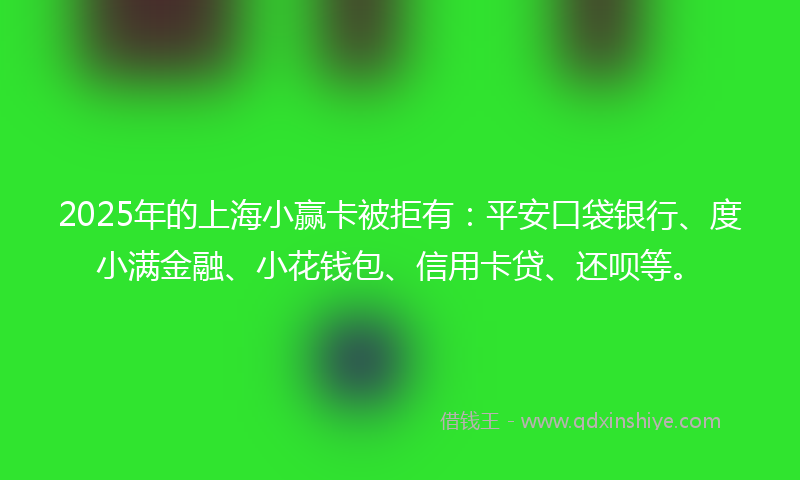 2025年的上海小赢卡被拒有：平安口袋银行、度小满金融、小花钱包、信用卡贷、还呗等。