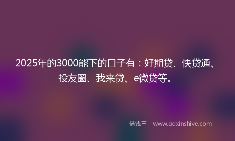 2025年的3000能下的口子有：好期贷、快贷通、投友圈、我来贷、e微贷等。