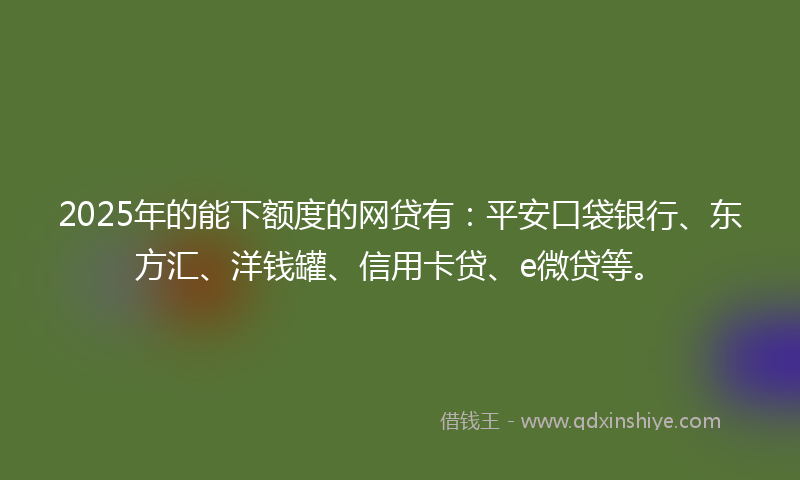 2025年的能下额度的网贷有：平安口袋银行、东方汇、洋钱罐、信用卡贷、e微贷等。