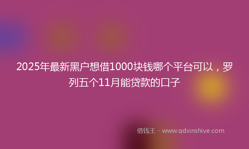 2025年最新黑户想借1000块钱哪个平台可以，罗列五个11月能贷款的口子