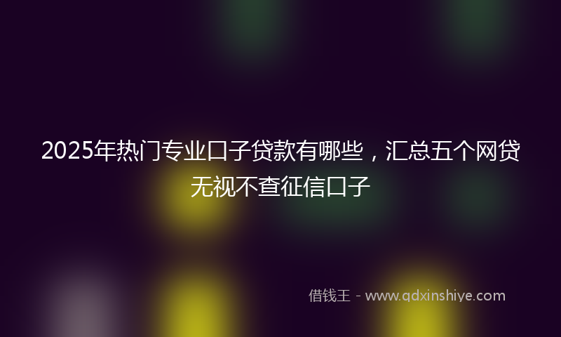 2025年热门专业口子贷款有哪些，汇总五个网贷无视不查征信口子