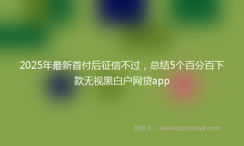 2025年最新首付后征信不过，总结5个百分百下款无视黑白户网贷app
