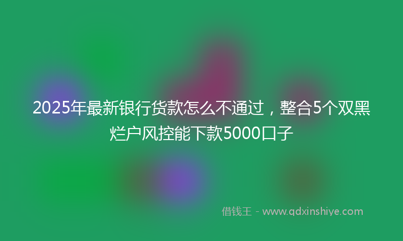 2025年最新银行货款怎么不通过,整合5个双黑烂户风控能下款5000口子