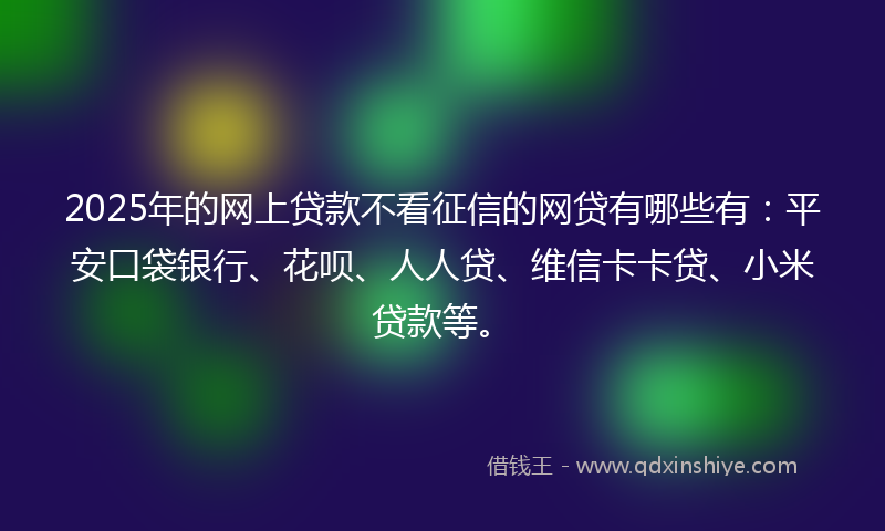 2025年的网上贷款不看征信的网贷有哪些有：平安口袋银行、花呗、人人贷、维信卡卡贷、小米贷款等。