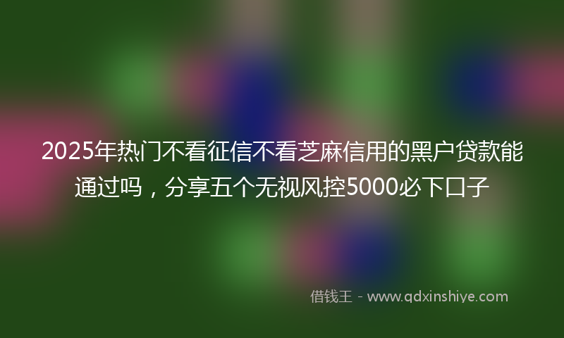 2025年热门不看征信不看芝麻信用的黑户贷款能通过吗，分享五个无视风控5000必下口子