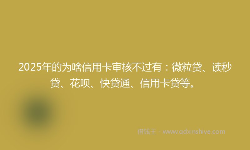 2025年的为啥信用卡审核不过有：微粒贷、读秒贷、花呗、快贷通、信用卡贷等。