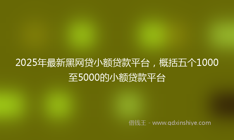 2025年最新黑网贷小额贷款平台，概括五个1000至5000的小额贷款平台