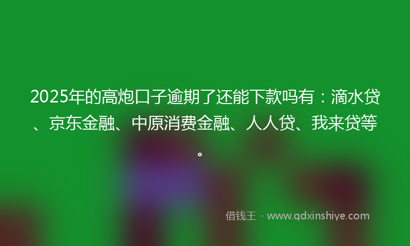 2025年的高炮口子逾期了还能下款吗有:滴水贷、京东金融、中原消费金融、人人贷、我来贷等。