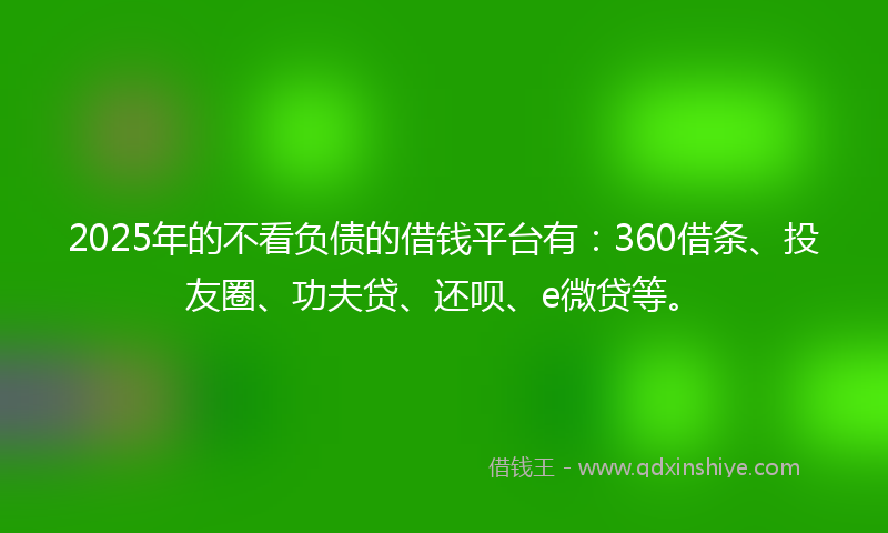 2025年的不看负债的借钱平台有：360借条、投友圈、功夫贷、还呗、e微贷等。