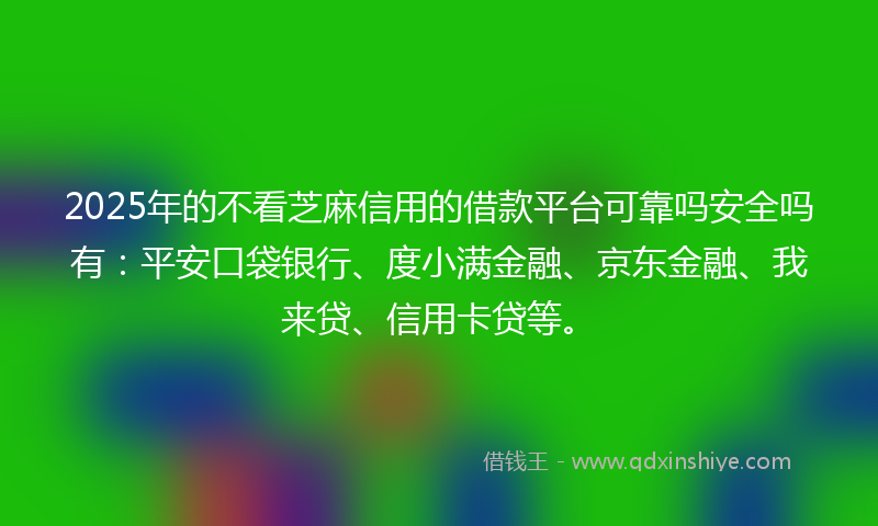 2025年的不看芝麻信用的借款平台可靠吗安全吗有：平安口袋银行、度小满金融、京东金融、我来贷、信用卡贷等。