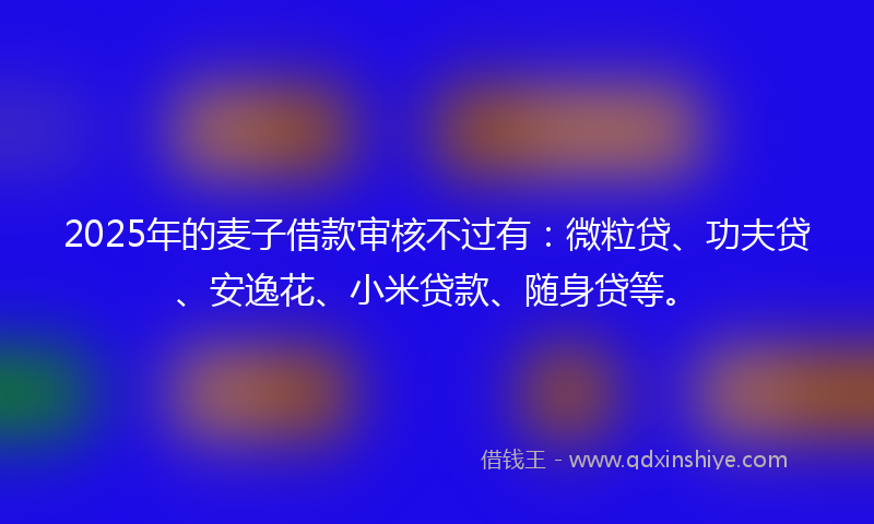 2025年的麦子借款审核不过有：微粒贷、功夫贷、安逸花、小米贷款、随身贷等。