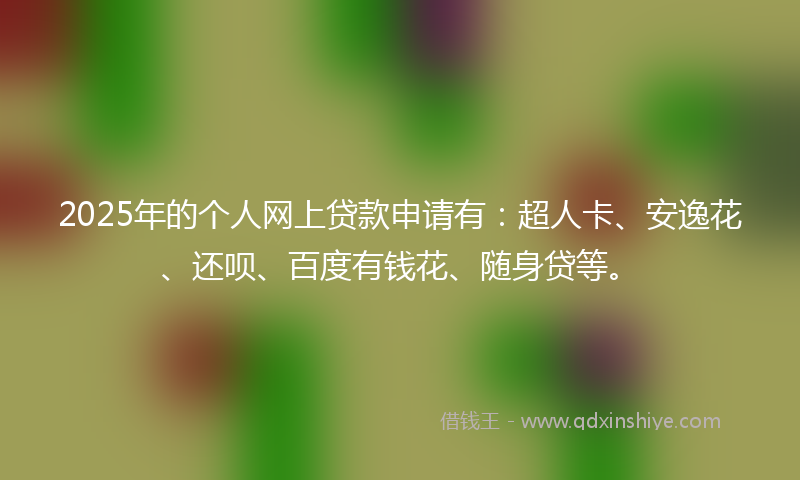 2025年的个人网上贷款申请有：超人卡、安逸花、还呗、百度有钱花、随身贷等。