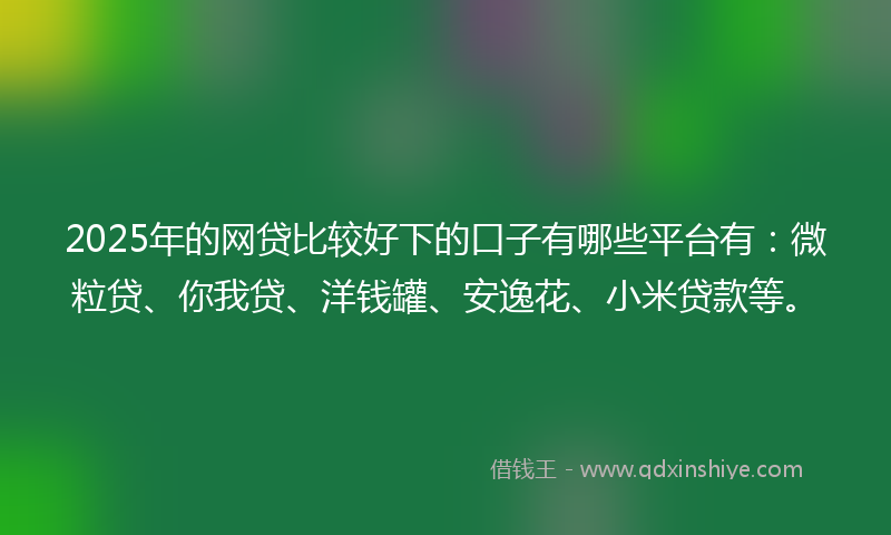 2025年的网贷比较好下的口子有哪些平台有：微粒贷、你我贷、洋钱罐、安逸花、小米贷款等。