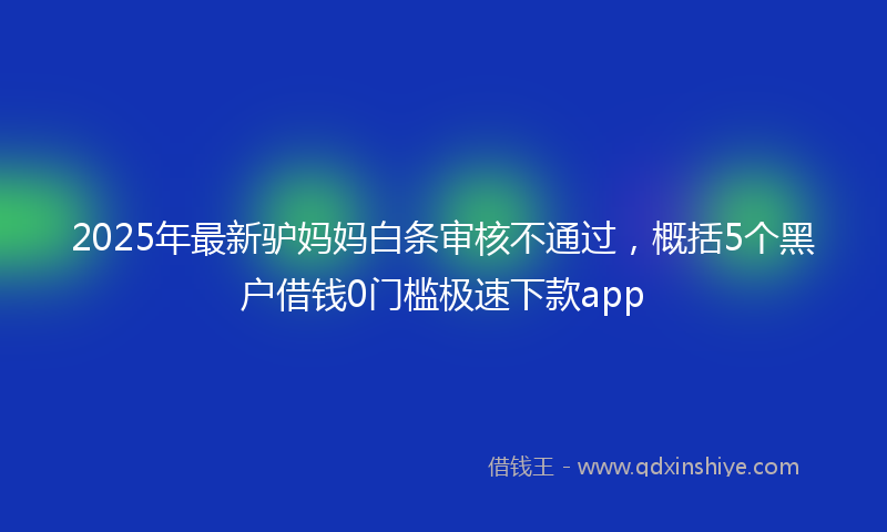 2025年最新驴妈妈白条审核不通过，概括5个黑户借钱0门槛极速下款app