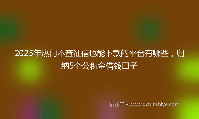 2025年热门不查征信也能下款的平台有哪些，归纳5个公积金借钱口子