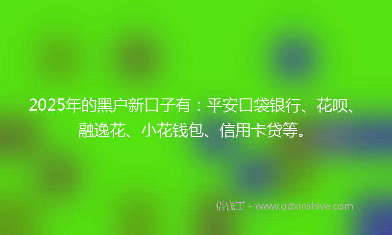 2025年的黑户新口子有：平安口袋银行、花呗、融逸花、小花钱包、信用卡贷等。