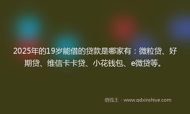 2025年的19岁能借的贷款是哪家有：微粒贷、好期贷、维信卡卡贷、小花钱包、e微贷等。